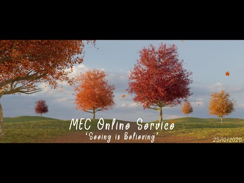 MEC Online Service 25/10/2020 - 'Seeing is Believing' (John 9:1-11)