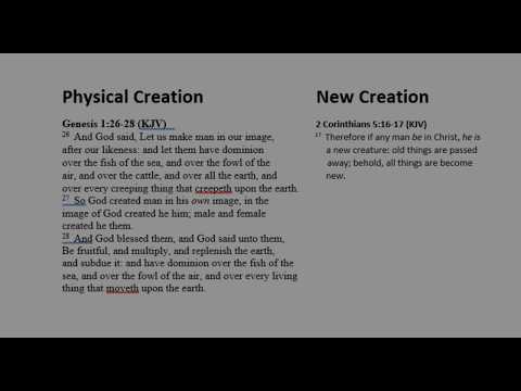 John 1:12-13 Bible teaching