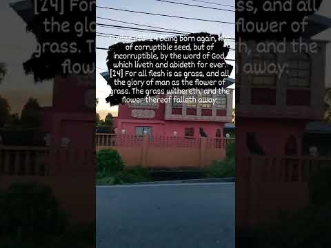 Psalm 92:7 When the wicked spring as the grass, and when all the workers of iniquity.....