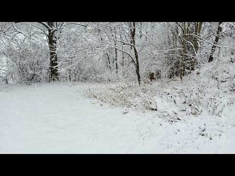 Coffee Break (5 minutes with God) James 4:12-15