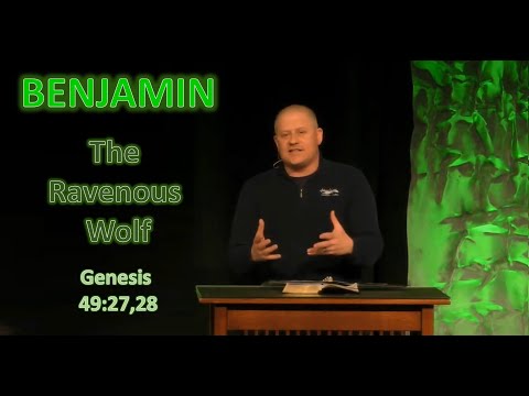 Benjamin - The Ravenous Wolf - Genesis 49:27,28