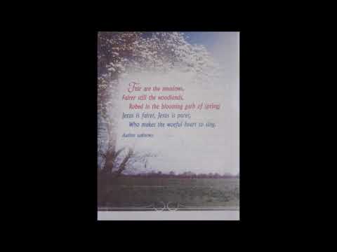 "A Woman's Life & Death" 2 Kings 9:30 - 37