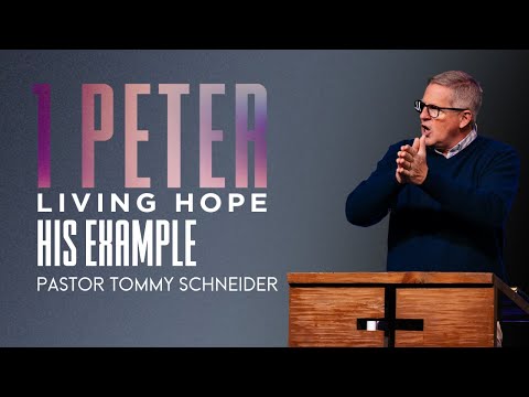1 Peter 2:18-25 || His Example