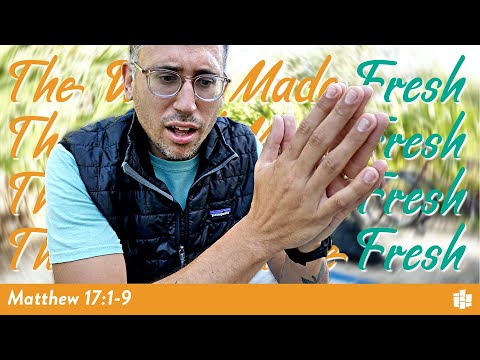 BOXED UP SPIRITUALITY -- The Word Made Fresh: Matthew 17:1-9