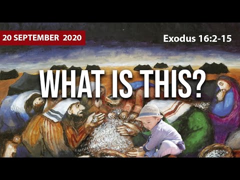 "Manna...what is this?" / Exodus 16:2-15