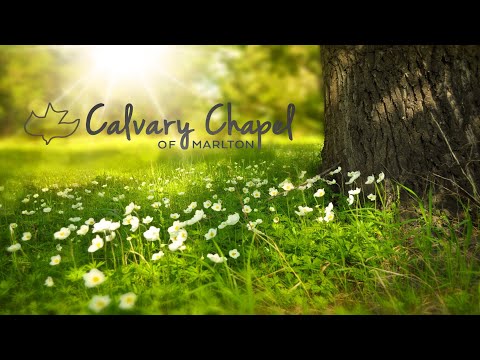 Wednesday Service:  Exodus 28:31-35
