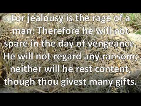Proverbs 6:20-35, My son, keep thy father's commandment...To keep thee from the evil woman,singalong