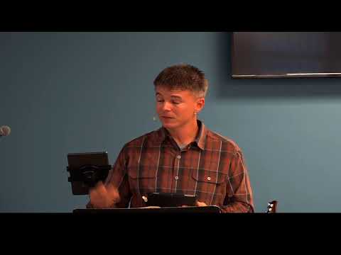 The Donkey and the Lamb  Exodus 34:19-20