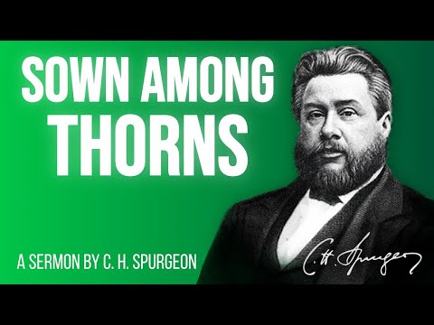 Sown Among Thorns (Matthew 13:7,22) - C.H. Spurgeon Sermon