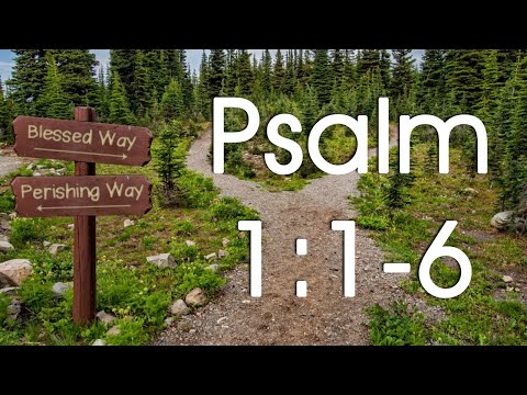 Home Fellowship Church - Sermon: Psalm 1:1 (4/19/2020)