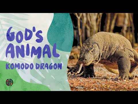 God's Animal - Komodo Dragon | Preschool
