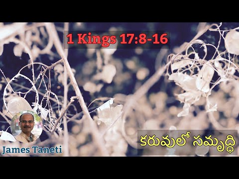 కరువులో సమృద్ధి/1 Kings 17:8-16/24th Sunday after Pentecost/Telugu Sermons