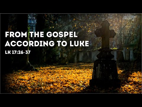 Today's Gospel Reading & Reflection - November 12 , 2021 | Luke 17:26-37 ( Days of Son of Man )