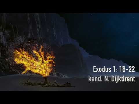 Exodus 1: 18-22 door kand. N. Dijkdrent