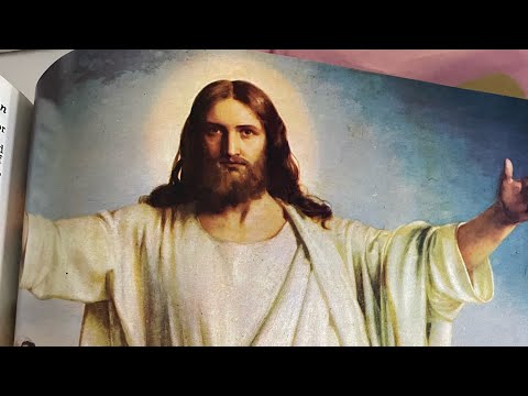 The NIV bible reading: 1 chronicles 14:1-17 and Acts 2:1-47