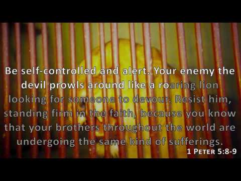1 Peter 5:8-9, Holy Bible, NIV