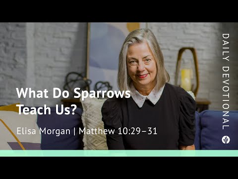 What Do Sparrows Teach Us? | Matthew 10:29–31 | Our Daily Bread Video Devotional