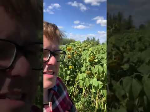 Daily Prayer & Devotion - Proverbs 6:6-9 - September 26th 2022