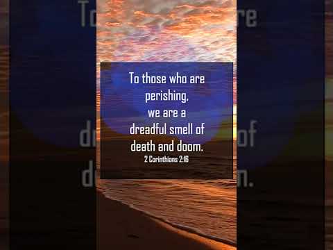 A reading of 2 Corinthians 2:15-16 from the New Living Translation