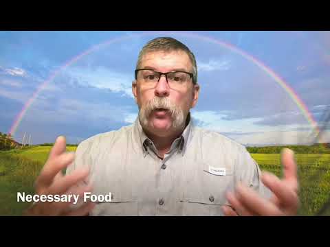 Seek for God early - Psalm 78:33-38