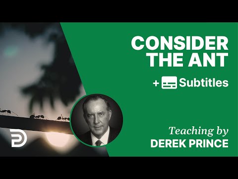 Consider The Ant | Part 157 | Derek Prince Devotions