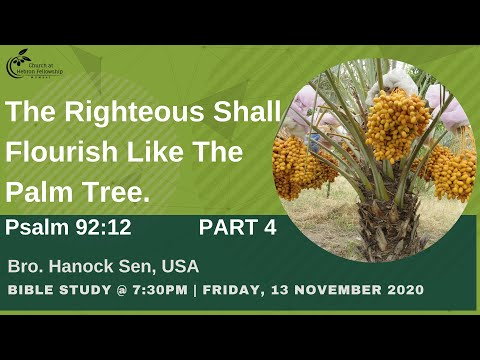 Bible Study | Psalm 92:12 | Bro. Hanock Sen, USA | 13th November 2020