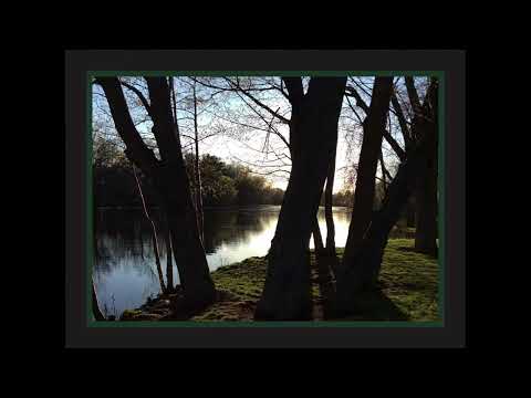 Coffee Break (5 Minutes with God) Psalm 50:5-11