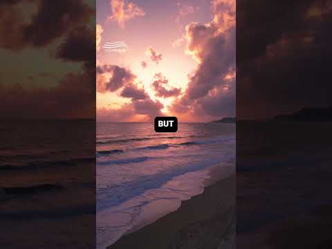 This Bible Verse Could Change Your Entire Day! ????????????????