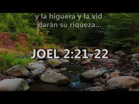Joel 2:21-22