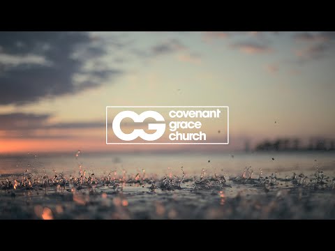 'Stewardship' in 2022 (Matthew 21:10-17)