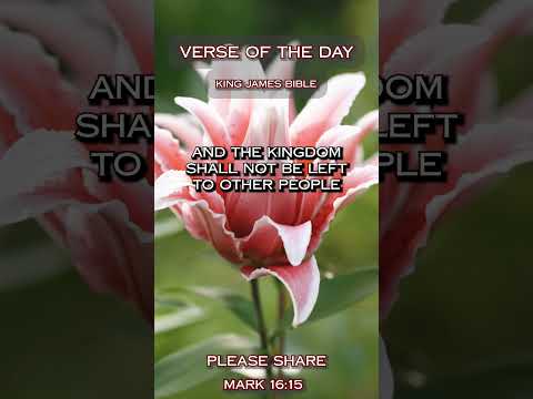 VERSE OF THE DAY - Daniel 2:44 #DailyScripture #BibleVerse #ChristianShorts #ScriptureOfTheDay
