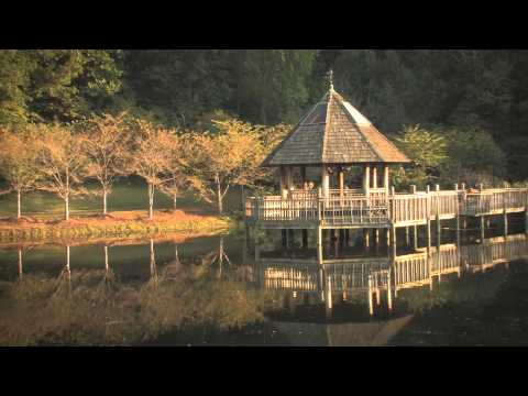 FLBC Daily Devotion Psalm 37:28