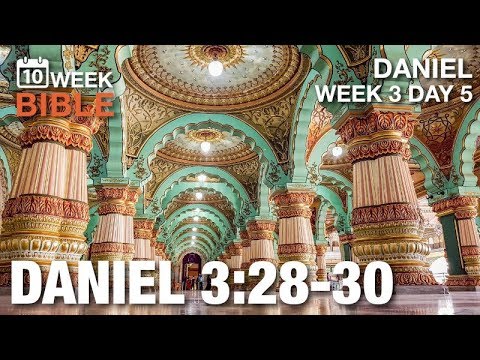 The King's Mind Changes | Daniel 3:28-30 | Week 3 Day 5 | Daily Devotional