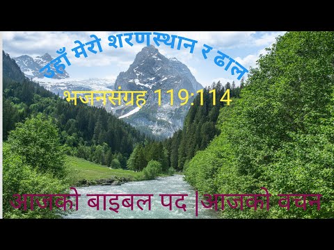 Aajako Bible Pad|Aajako Bachan Aug-2|Psalm 119:114|उहाँ हाम्रो शरणस्थान र ढाल| Uha Hamro Saransthan