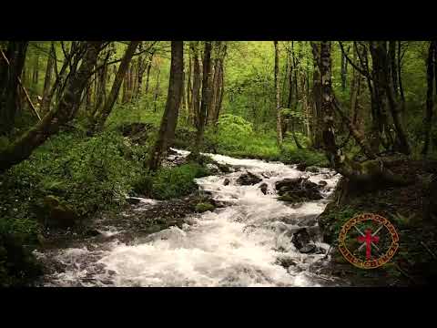 FLBC Daily Devotions: Psalm 105:8, "God's Promises."