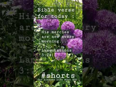 Bible verse for today - Lamentations 3:24