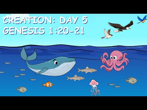 Preschool: Creation; Day 5, Genesis 1:20-21 (05/15/2022)