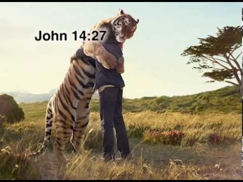 John 14:27