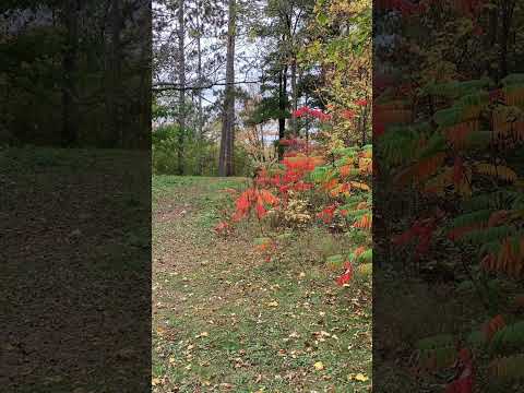 391.  Coffee Break (express) What does it mean to wait on the Lord?