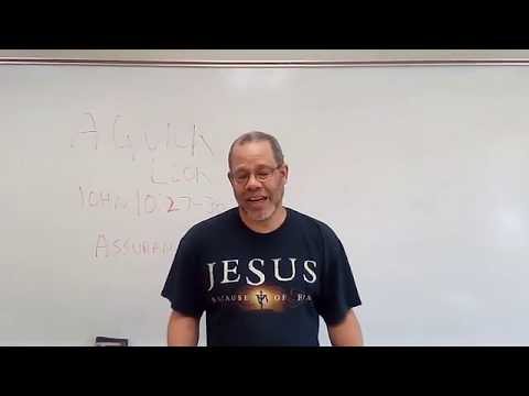 John 10:27-30:  A Quick Look (The reason Joshua Harris wasn't saved)