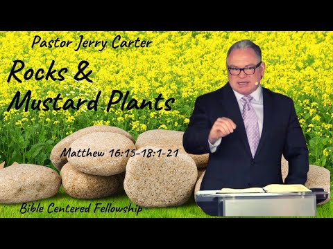 Rocks & Mustard Plants (part 2) Matthew 16:15-17:1-21