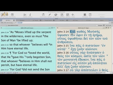 Exegesis of John 3:16 | Dr. James White