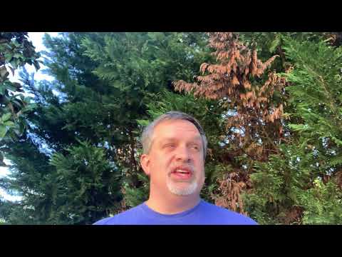 2 Minutes of Hope and Wisdom - May 1 - Proverbs 26:19-20