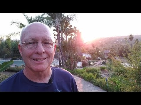 John 8:1-2 • Missed Opportunities