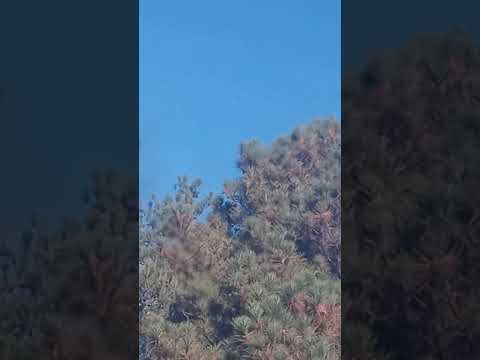 Dwelling with the Father Revelation 21:3 Isaiah 65:20 Revelation 20:5