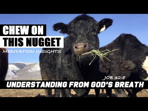 Chew on this Job 32:8 God's breath of Light in union with our human spirit gives us understanding