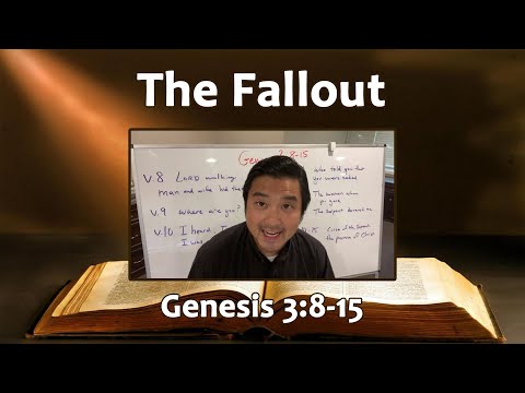 Genesis 3:8-15 ~ “The Fallout”