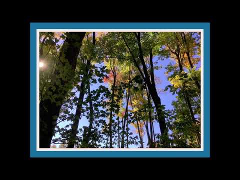 Coffee Break (5 Minutes with God) Psalm 32:1-5