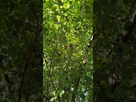 Psalm 145:17(The LORD is righteous in all His ways, and gracious in all His works)