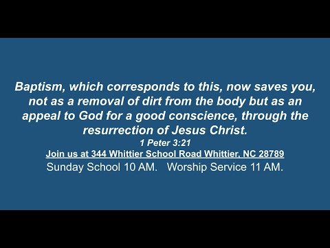 July 11, 2021.  1 Peter 3:20-21 and Romans 6:1-4.  What is the Meaning of Baptism?